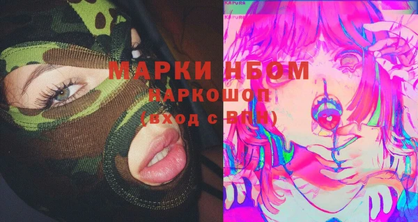 МДПВ Богородск