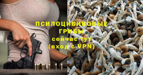 МДПВ Богородск