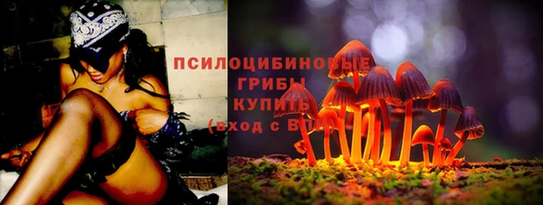 стафф Грязи