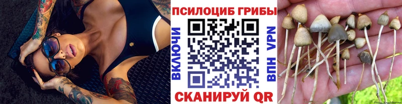 Галлюциногенные грибы Magic Shrooms  Мензелинск 